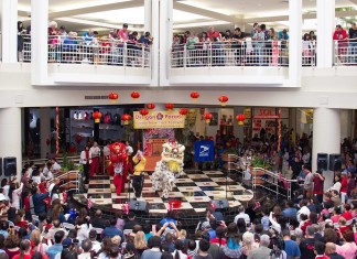 From Dragons to Dumplings, Lunar New Year Festival Left Lasting Impression