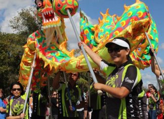 Celebrate Lunar New Year in Florida 2020 Dragon Parade 2018