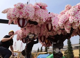 Largest LEGO® brick cherry blossom tree – Guinness World Records Legoland