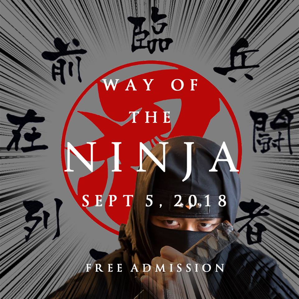 WAY OF THE NINJA