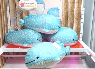 Experience Japan’s Arcade Culture from Your Home!