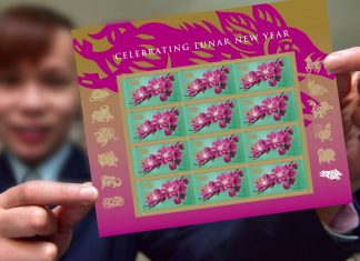 Celebrating Lunar New Year series with Year of the Pig stamp USPS Year of the Pig stamp