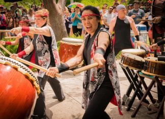Annual Japanese Spring Festival Returns to Miami Beach Botanical Garden on March 31 Japanese Spring Festival