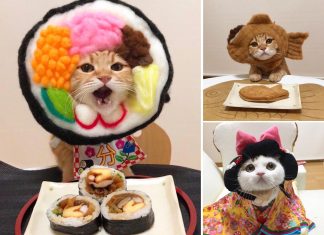 Kawaii Cat Cosplay