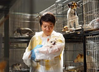 BIFF Winner “Million Loves In Me”, The Premier Indie Asian Film, Finally Gets Its Deserved Spotlight Million Loves In Me