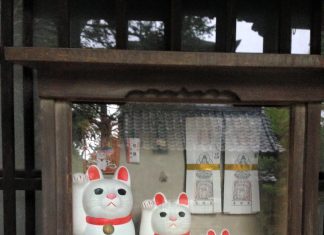What’s The Story Behind Japan’s Lucky Cats and Inari fox? Maneki-neko