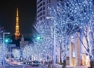 Gorgeous Christmas Lights in Japan! Japan Illumination