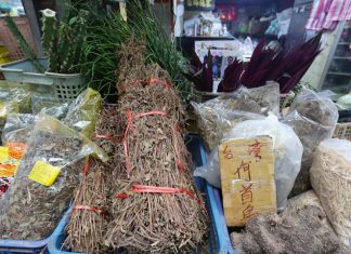 Have You Had Your Herbs Today? —Welcome to the World of Taiwanese Herbs Herb shops sell both fresh and dried herbs.