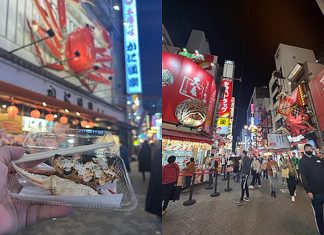 Culture Diversity: My Experience in Japan Japan Travel