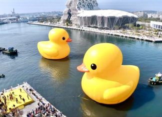 Iconic giant rubber ducks set afloat in Kaohsiung as festival opens giant rubber ducks