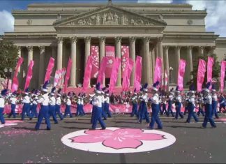 The National Cherry Blossom Parade and Sakura Matsuri Bring a Vibrant Celebration of Spring to Washington D.C. National Cherry Blossom Parade
