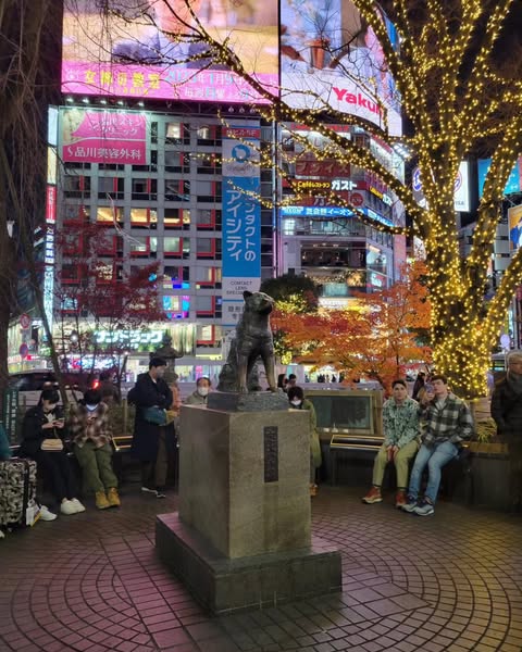 Experiencing Christmas in Japan