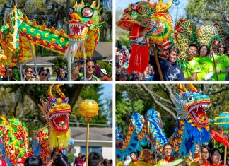 Exciting Lunar New Year Events in Florida to Celebrate the Year of the Snake! Dragon Parade 2024