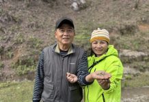From Taiwan to Vietnam: Hsu Kuo-an’s mastery of ancient tree tea Taiwanese tea maker Hsu Kuo-an