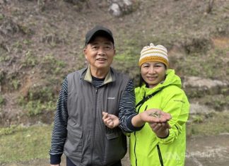 From Taiwan to Vietnam: Hsu Kuo-an’s mastery of ancient tree tea Taiwanese tea maker Hsu Kuo-an