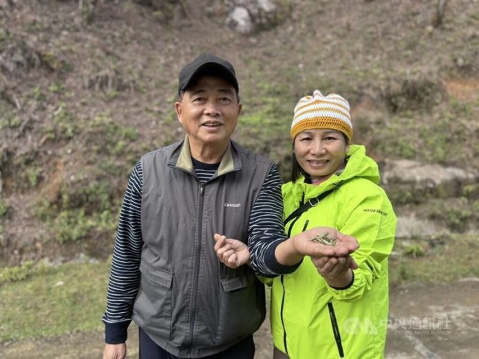 Taiwanese tea maker Hsu Kuo-an (left) and his wife. CNA file photo Taiwanese tea maker Hsu Kuo-an