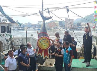 First Su’ao bluefin tuna of season sold for nearly US$63,040 first Su'ao tuna