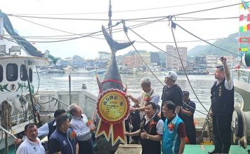 First Su’ao bluefin tuna of season sold for nearly US$63,040 first Su'ao tuna