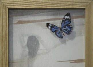 The Butterfly Woman