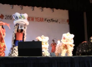 Houston Lunar New Year Celebration
