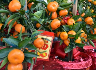Chinese New Year Flower Market Fair