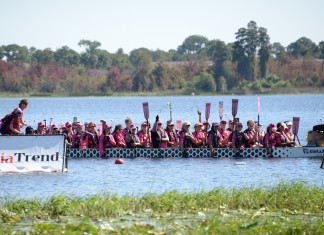 2015 Walgreens International Dragon Boat Festival
