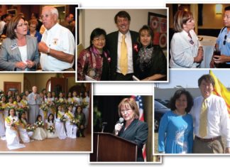 Orange County Mayoral Race 2011 Orange County Mayoral Race 2011