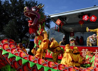 Suncoast Association of Chinese Americans Celebrates the Year of Horse Suncoast Association of Chinese Americans Celebrates the Year of Horse