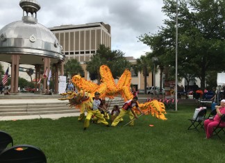 1st Annual Hillsborough Diversity Festival