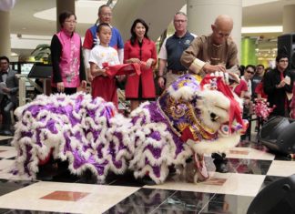 Orlando community celebrates the year of Rooster at the 6th Annual Dragon Parade Lunar New Year Festival Dragon Parade 2017