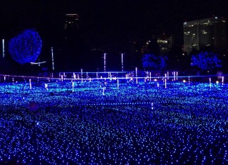 CHRISTMAS illumination in Tokyo Midtown Starlight Garden CHRISTMAS illumination in Tokyo Midtown Starlight Garden
