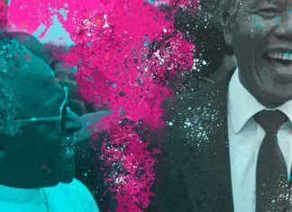 Meet the Global Peace Film Festival’s Executive Director